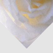 Papier Mousseline Rose blanche en flou (Détail)