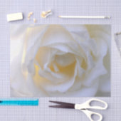 Papier Mousseline Rose blanche en flou (Artisanat)