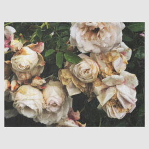 Papier Mousseline Rose blanche simple