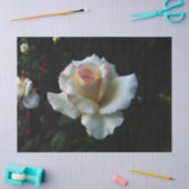 Papier Mousseline Rose blanche simple (Artisanat)