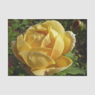 Papier Mousseline Rose d'Angleterre