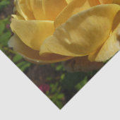 Papier Mousseline Rose d'Angleterre (Détail)