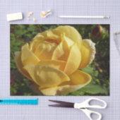 Papier Mousseline Rose d'Angleterre (Artisanat)