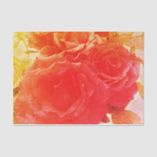 Papier Mousseline Rose de rose