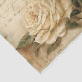 Papier Mousseline Rose et oiseaux de pays français (Détail)