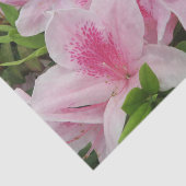 Papier Mousseline rose Fleurs, japonaise, asiatique, chinois, mode,  (Détail)