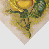 Papier Mousseline Rose jaune Antique Vintage Imprimer Art (Détail)
