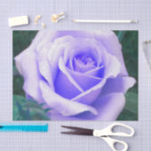 Papier Mousseline Rose Lavande pâle (Artisanat)
