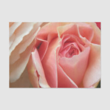 Rose parfait de pastel