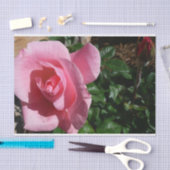 Papier Mousseline Rose rose et bud Garden Floral (Artisanat)