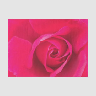 Papier Mousseline Rose rose romantique v2