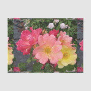 Papier Mousseline Rose Roses Wild Rouge Jaune Motif Floral Flower