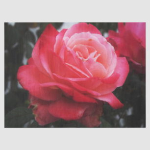Papier Mousseline Rose Saumon unique