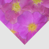 Papier Mousseline Rose sauvage Motif sans couture (Détail)