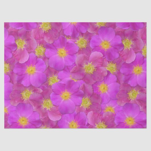 Papier Mousseline Rose sauvage Motif sans couture (Recto)