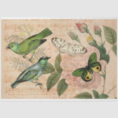Papier Mousseline Rose vert Musical Oiseau Papillon Rose Ephemera (Recto)