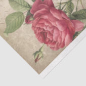 Papier Mousseline Rose victorien et texte Ephémère Découpage (Détail)