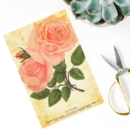 Papier Mousseline Rose vintage
