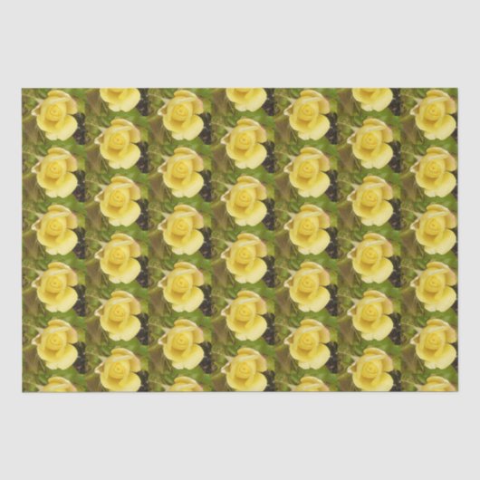 Papier Mousseline Rosebud jaune (Recto)