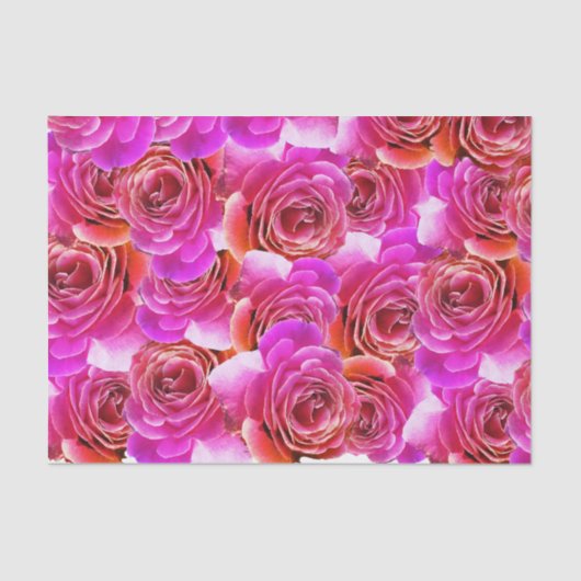 Papier Mousseline Roses de dégradé rose à rouge (Recto)