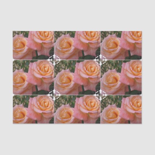 Papier Mousseline Roses en pastel (Recto)