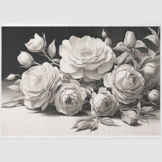 Papier Mousseline Roses noires et blanches en fleur (Recto)