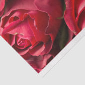 Papier Mousseline Roses rouges (Détail)