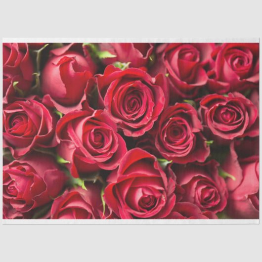 Papier Mousseline Roses rouges (Recto)