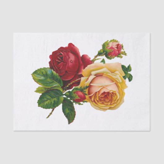 Papier Mousseline Roses rouges, brunes et roses (Recto)