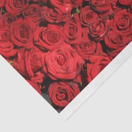 Papier Mousseline Roses rouges HAMbyWG (Détail)