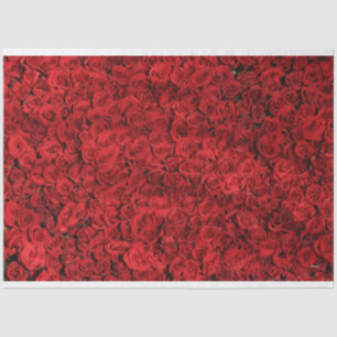 Papier Mousseline Roses rouges HAMbyWG