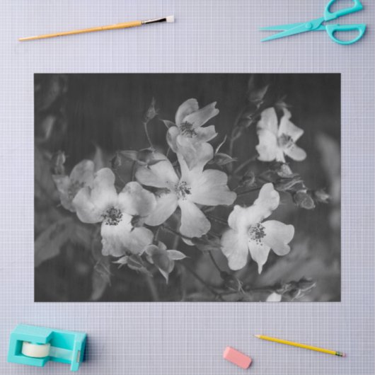 Papier Mousseline Roses sauvages (Artisanat)