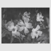 Papier Mousseline Roses sauvages (Recto)