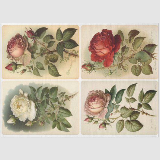 Papier Mousseline Roses vintages (Recto)