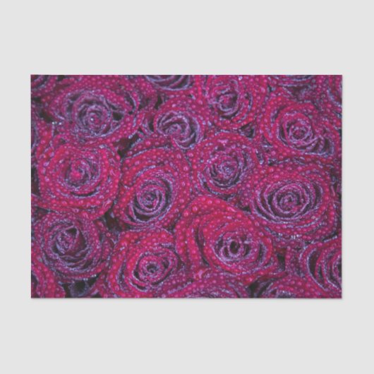 Papier Mousseline Roses violets et gouttes de pluie (Recto)