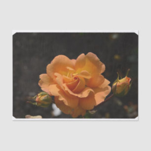 Papier Mousseline Rosier orange