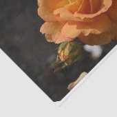 Papier Mousseline Rosier orange (Détail)