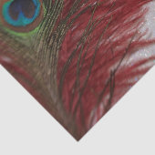 Papier Mousseline Rouge et blanc de paon (Détail)