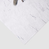 PAPIER MOUSSELINE ROUGE FOX SUR PAPIER EN TISSU DE NEIGE (Détail)