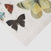 Papier Mousseline ROUGE JAUNE BLEU BLANC BUTTERFLIES Beauté Nature (Détail)