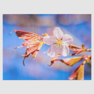 Papier Mousseline Rouge Sakura bleu ciel