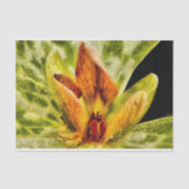 Papier Mousseline Rouge Vert Toadshade Trillium Bud Aquarelle Look (Recto)