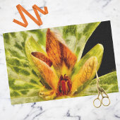 Papier Mousseline Rouge Vert Toadshade Trillium Bud Aquarelle Look