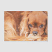 Papier Mousseline Ruby Cavalier King Charles Spaniel (Recto)