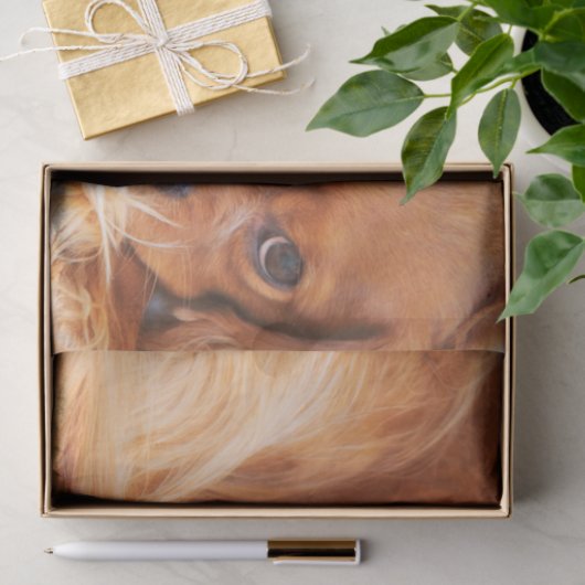 Papier Mousseline Ruby Cavalier King Charles Spaniel (Cadeau)