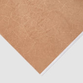 Papier Mousseline Rust Craquelure (Détail)