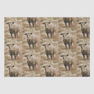 Papier Mousseline Rustic Bull sur la page de découpage des Motifs ag