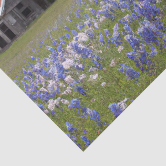 Papier Mousseline Rustic Farm Texas Bluebonnets découpage (Détail)