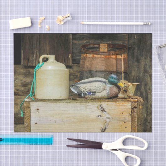 Papier Mousseline Rustic Jug Duck Decoy Photo (Artisanat)