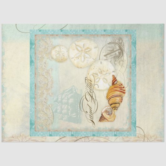 Papier Mousseline Sable Dollar Beach Coquillages Balnéaire Découpage (Recto)